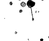 respingos de tinta